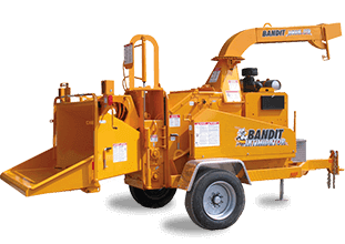 Hand Fed Chippers for sale in Surrey & Nanaimo BC